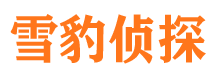 台山市侦探公司